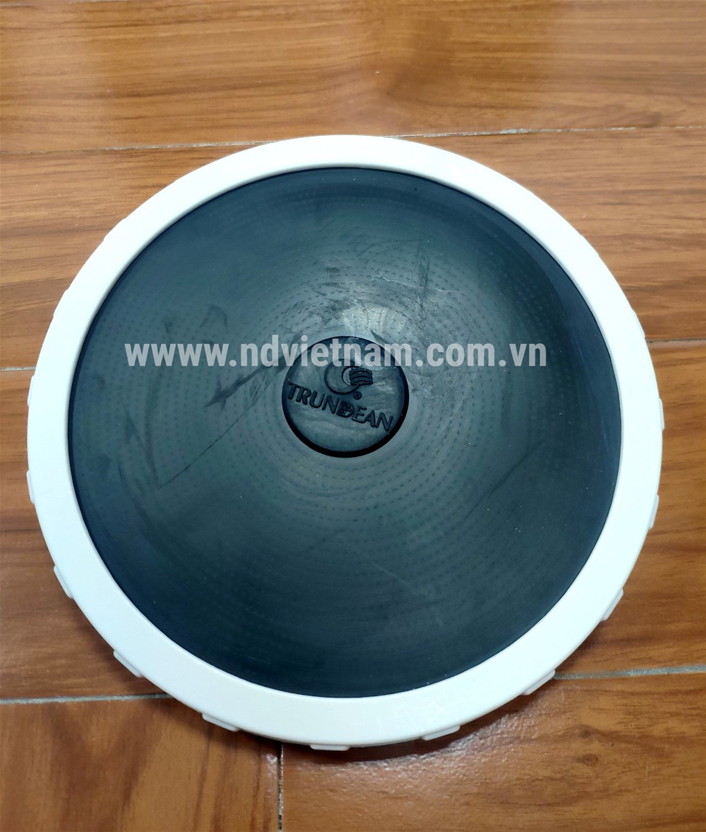 Đĩa phân phối khí tinh Trundean DISC250