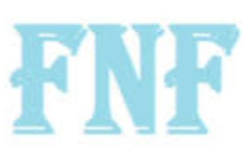 FNF Việt Nam